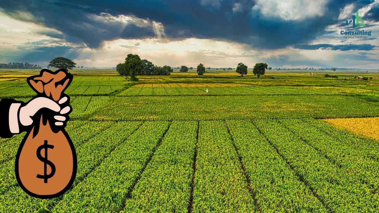 Đối tượng phải nộp thuế sử dụng đất nông nghiệp Đối tượng phải nộp thuế sử dụng đất nông nghiệp